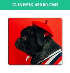 Clingpix 45x60 cms