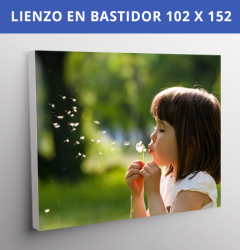 Lienzo En Bastidor 102x152 cms 