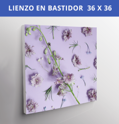 Lienzo En Bastidor 36x36 cms