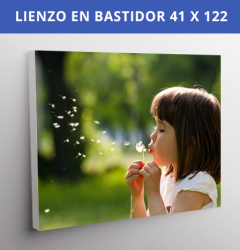Lienzo En Bastidor 41x122 cms (16x48in) 
