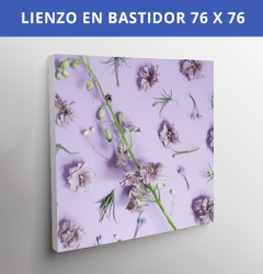 Lienzo En Bastidor 76x76 cms 