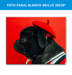 Foto Panel Blanco Brillo 20x30in (51x76cm)